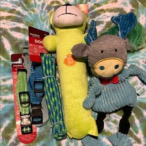 Toy and Pet Accessories Bundle - Blue, Green